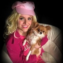 The Belmont Theatre To Present LEGALLY BLONDE, A Musical Comedy