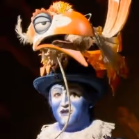 VIDEO: Meet THE LION KING Tour's Zazu, Jürgen Hooper