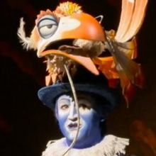 VIDEO: Meet THE LION KING Tour's Zazu, Jürgen Hooper