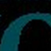 OKC Zoo Goes Virtual, Announces Ways To Engage With Wildlife During Temporary Closur