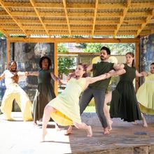 Houston Performing Arts And Culture Programs Partner To Present BUTTERFLY EFFECT 