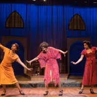 VIDEO: Sneak Peek of BLUES IN THE NIGHT at Ebony Reptertory Theatre Video