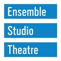 Ensemble Studio Theatre Will Postpone Programming Due to COVID-19
