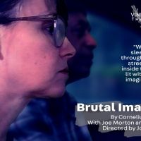 Joe Morton and Sally Murphy Reunite for BRUTAL IMAGINATION Benefit Reading