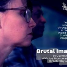 Joe Morton and Sally Murphy Reunite for BRUTAL IMAGINATION Benefit Reading