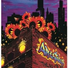 NJT Presents World Premiere Of THE BEE PLAY, Beginning Tonight