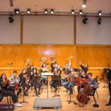 THE INSTRUMENT PETTING ZOO Coming To A Living Room Near You