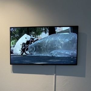 El Museo De Arte Carrillo Gil Presentará El Libro Mirar Con Nuestros Ojos De Montaña, De Marcela Armas
