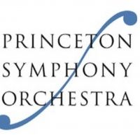 Princeton Symphony Orchestra Receives Grant to Advance Equity, Diversity, and…