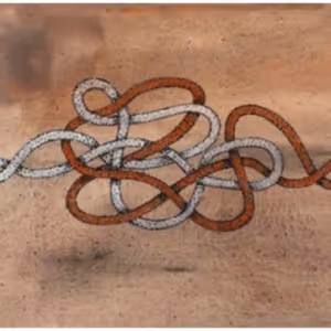 Black Mountain College Museum + Arts Center Presents The Exhibition BLACK MOUNTAIN…