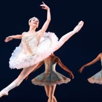 Dutch National Ballet Presents Livestream Spring Special On Easter Monday