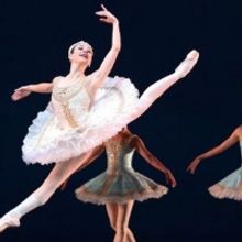 Dutch National Ballet Presents Livestream Spring Special On Easter Monday