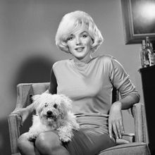 Julien's Auctions Nets $4 Million & New World Record With Marilyn Monroe Pucci Dress,