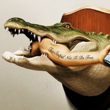 Video: HBO Shares Trailer for Late-Night Comedy Series IT'S FLORIDA, MAN.