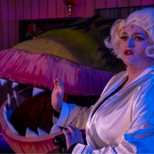 Review: LITTLE SHOP OF HORRORS at Red Curtain Theatre