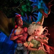 BWW Review: DRAGONS & FAIRIES at Leu Gardens