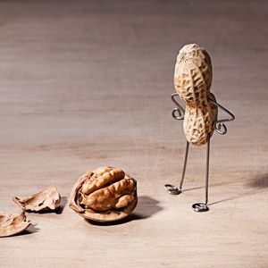 CHOCK FULL OF NUTS Comes to Denver in February