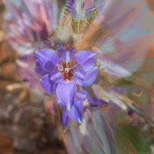 Arts Advocates Unveils June 2024 Events Including An Art Talk In Celebration Of Pride