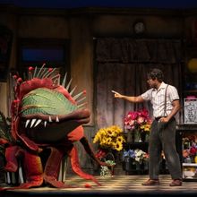 Review: LITTLE SHOP OF HORRORS Thrills Edmonton