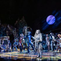 Final Tickets on Sale For The 40th Anniversary Tour of CATS in Brisbane