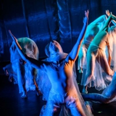 BWW Review: THE PARTICULARS burns slow at The Theatre Centre