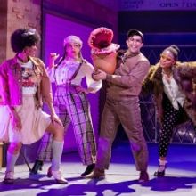 Review: LITTLE SHOP OF HORRORS at Arkansas Repertory Theatre