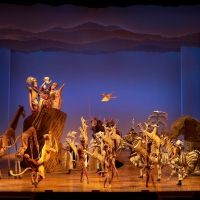 Review: THE LION KING at Broadway San Jose