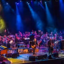 Warren Haynes Shares Symphonic “Thorazine Shuffle” From DREAMS & SONGS