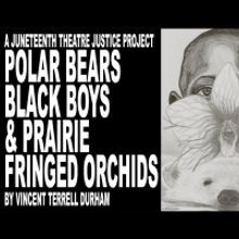 BWW Previews: ON JUNETEENTH, FREE READING OF POLAR BEARS, BLACK BOYS, & PRAIRIE FRING