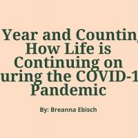 Student Blog: A Year and Counting