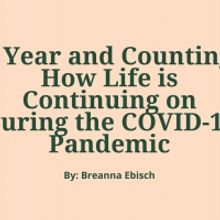 Student Blog: A Year and Counting