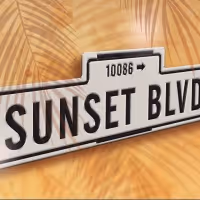 SUNSET BOULEVARD Comes to the John Engeman Theater