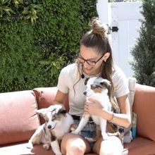 Video: Amber Ardolino Cuddles Up with Her Broadway Pets, Piper & Ziggy