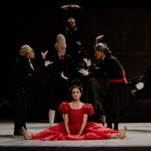 BWW Review: King of Pop Invades Popo in LEONCE AND LENA