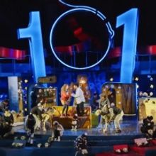 VIDEO: First Look at Kate Fleetwood & More in 101 DALMATIANS at Regent's Park Open Ai