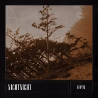 NightNight Releases New Single 'Leaves'