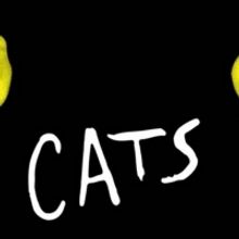 BWW Feature: CATS IL MUSICAL IN STREAMING su You Tube
