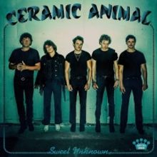 Ceramic Animal Release New Album 'Sweet Unknown'