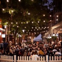 Adelaide Fringe Announces 2022 Programming