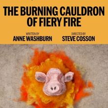THE BURNING CAULDRON OF FIERY FIRE at Vineyard Theatre Sets Full Cast