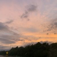 BWW Blog: From the Dust and Ashes...