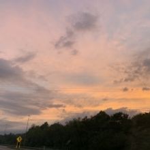 BWW Blog: From the Dust and Ashes...