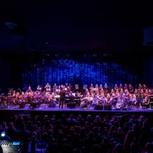 Cork Folk Fest is Set For Next Month