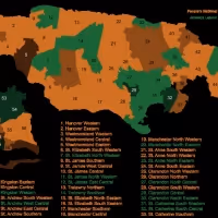 Jamaica's 2020 Election Covered By Reggae King Radio