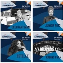VP Records Celebrates Forty Illustrious Years At Summerstage
