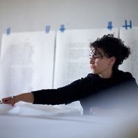 Frist Art Museum Presents BETHANY COLLINS: EVENSONG