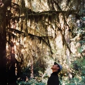 Hiroshi Yoshimura's QUIET FOREST Reissue Shares 'Dancing Creek'