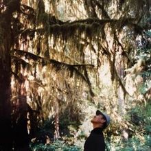 Hiroshi Yoshimura's QUIET FOREST Reissue Shares 'Dancing Creek'