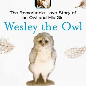 New Musical Play WESLEY will Have Private Industry Readings in May