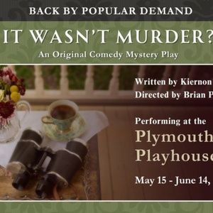 Review: IT WASN'T MURDER? - AN ORIGINAL COMEDY MYSTERY at Plymouth Playhouse
